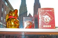 2017-02-12 Haone Boere Blaos Festijn 086 2017-02-12 Haone Boere Blaos Festijn 086